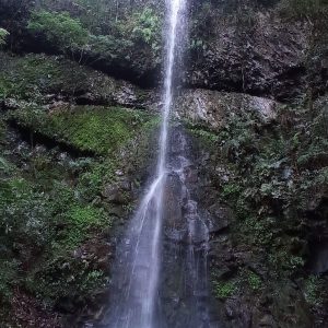 Cachoeira São Carlos