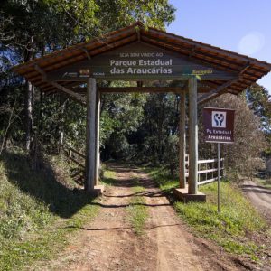 Parque Estadual das Araucárias