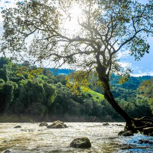Rota Rural Delícias de Arvoredo
