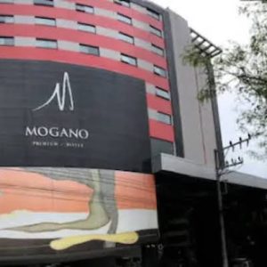 Hotel Mogano Premium