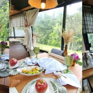 Tilli Bus hospedagem afetiva